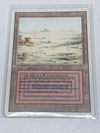 MTG TCG Badlands (3RD) Revised Edition MP