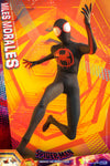 Hot Toys Spider-Man: Across The Spider-Verse Spider-Man (Miles Morales) MMS710 1/6th Scale Collectible Figure