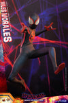 Hot Toys Spider-Man: Across The Spider-Verse  Spider-Man (Miles Morales) MMS710 1/6th Scale Collectible Figure